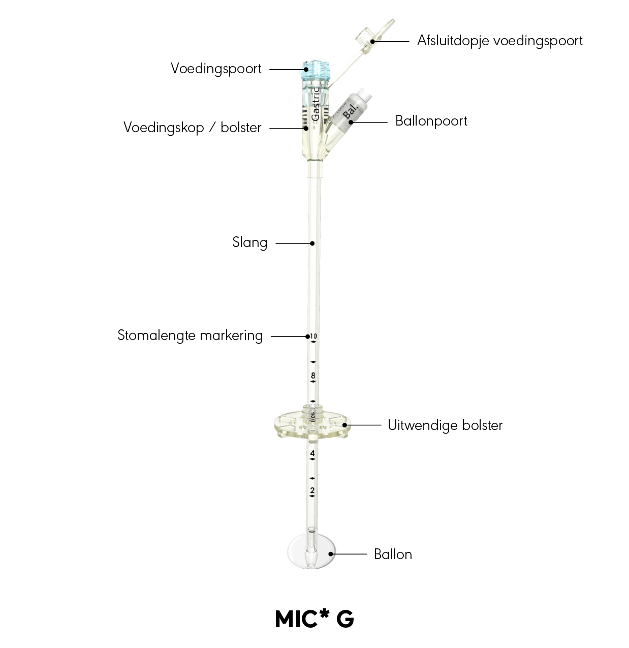 MIC* G-sonde grafische weergave