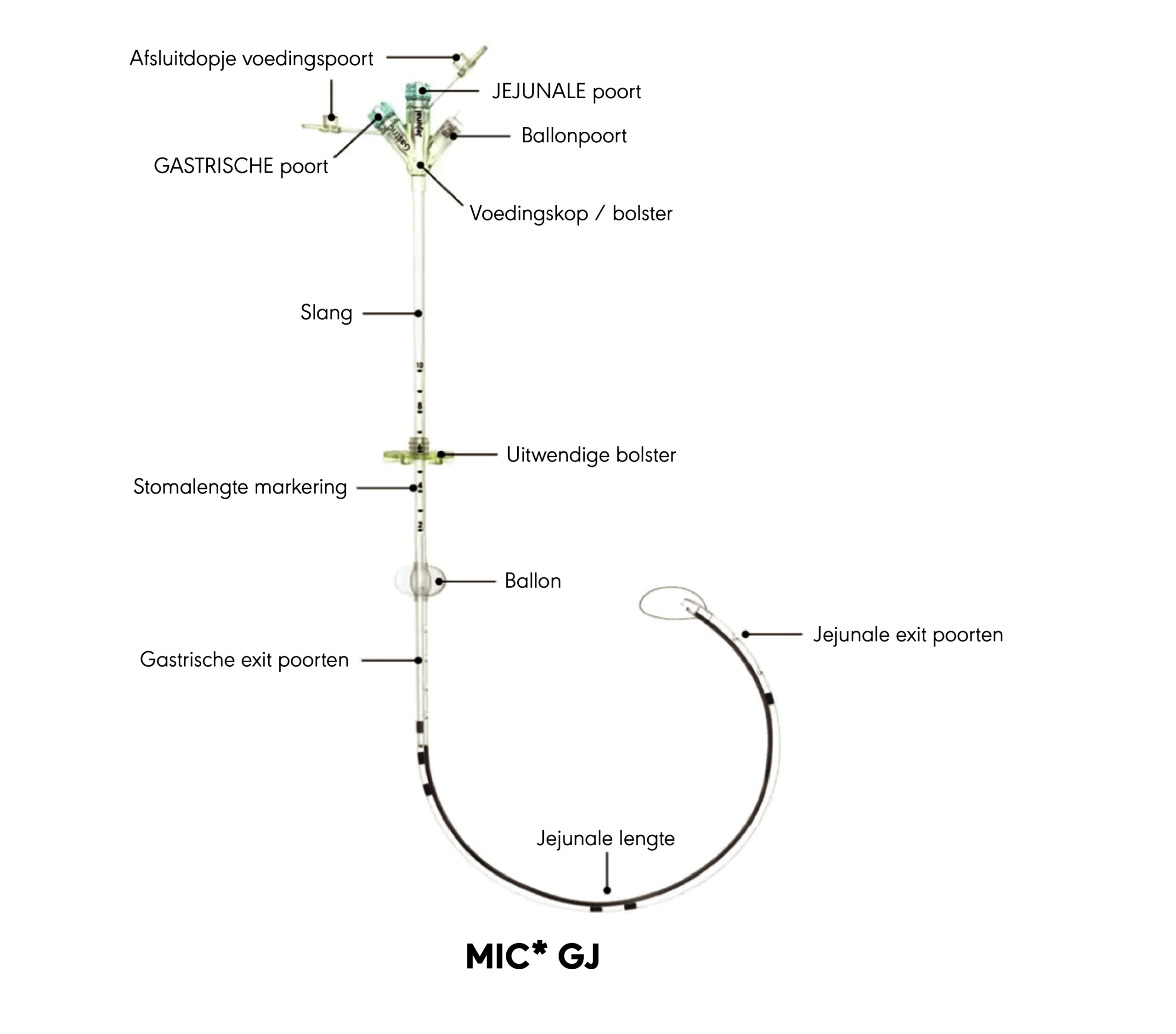 MIC* GJ-sonde grafische weergave
