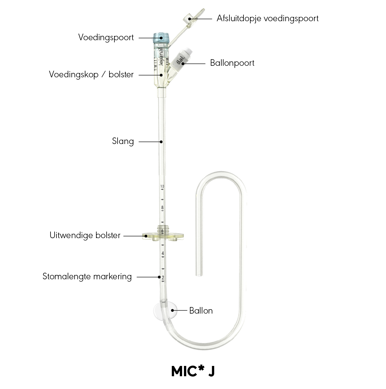 MIC* J-sonde grafische weergave