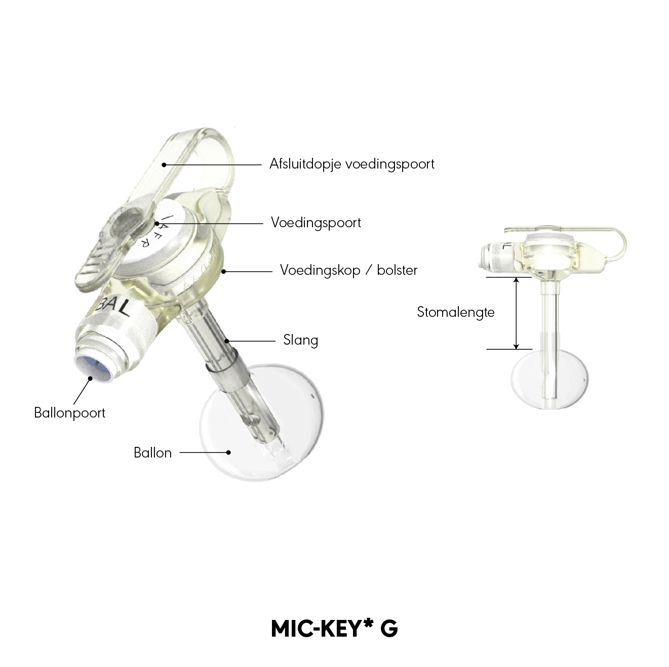 MIC-KEY* G-sonde grafische weergave
