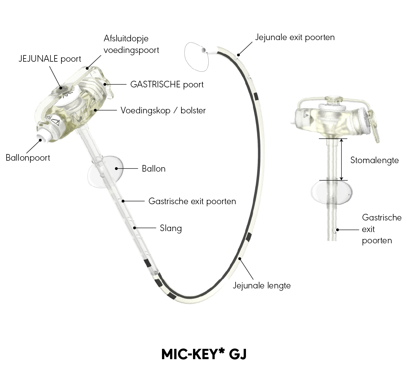 MIC-KEY* GJ-sonde grafische weergave